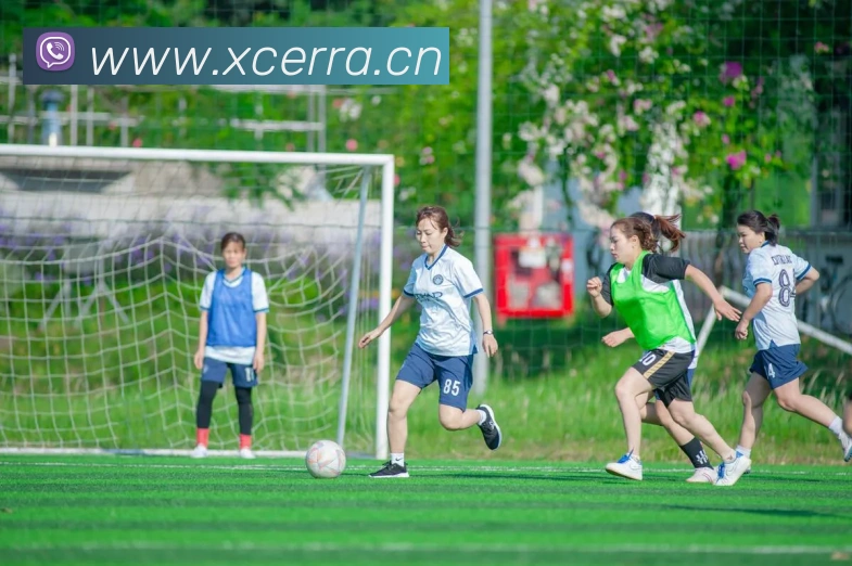 如何下载CCTV5体育直播?海量赛事一手掌握